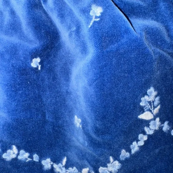 Blue Velvet Janie and Jack Skirt Baby Blue Floral Embroidery 3-6 Mo Hanukkah - Picture 7 of 13